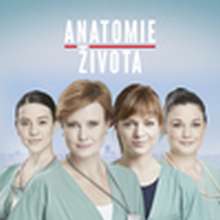 Anatomie života – 2.díl – Konec hry