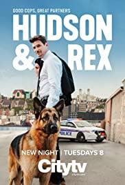 Hudson a Rex 2 – 9.díl – Rex ve městě