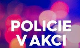 Policie v akci – 9.díl